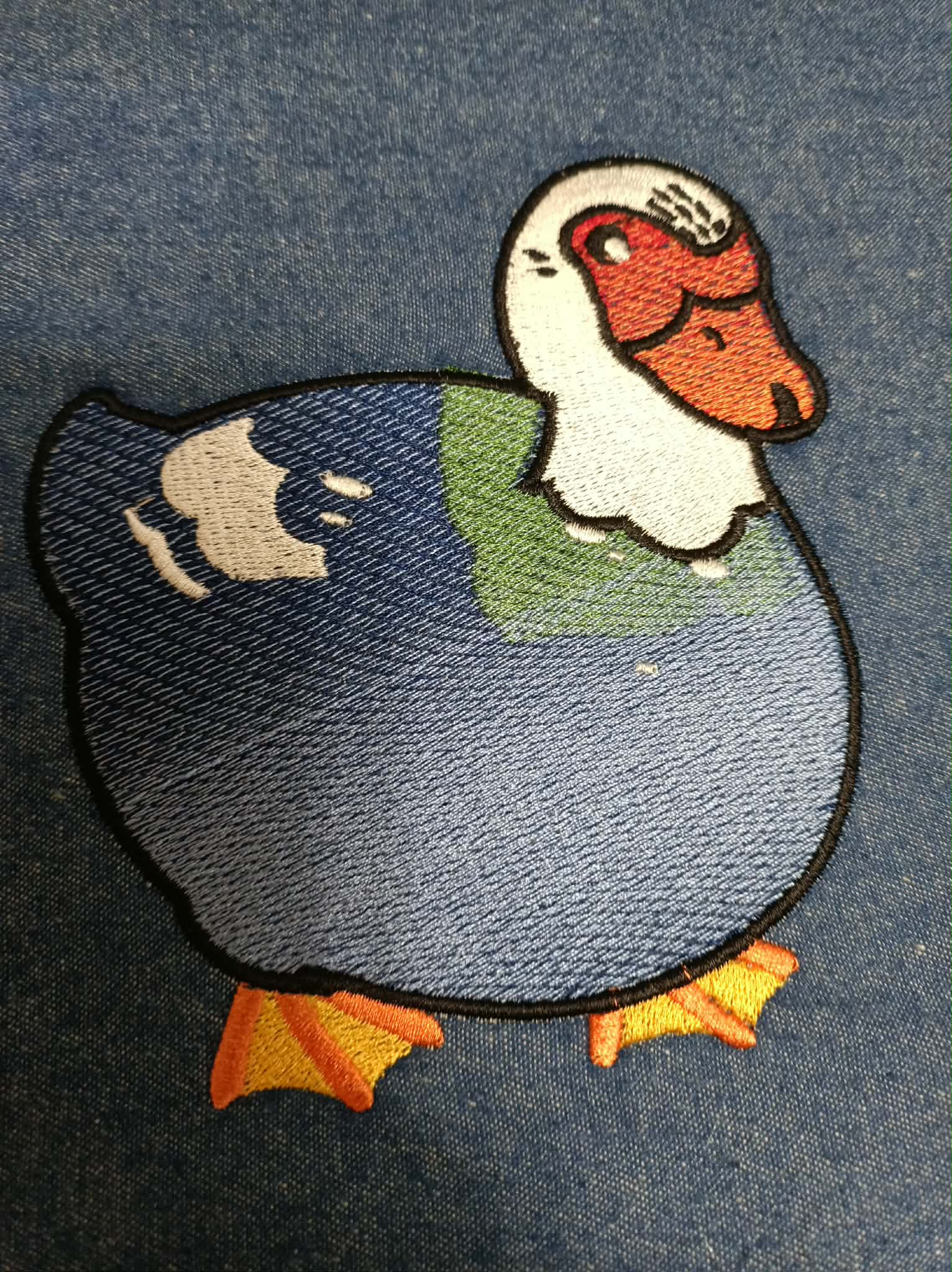 Muscovy duck